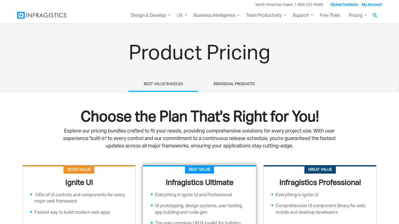 Ignite UI